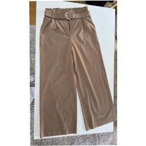 Express Wide Leg Pants